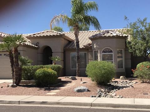 2540 E Taro Ln, Phoenix, AZ 85050 photo 7