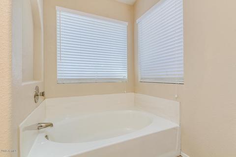 2540 E Taro Ln, Phoenix, AZ 85050 photo 41