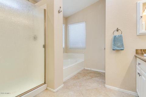 2540 E Taro Ln, Phoenix, AZ 85050 photo 40