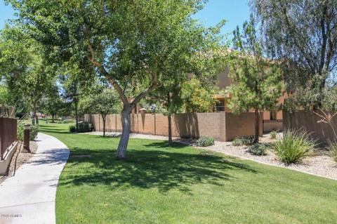 2966 E Donner Dr, Phoenix, AZ 85042 photo 29