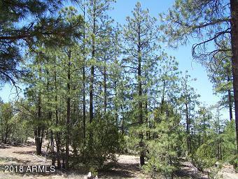 2846 Thunderbird Way #-, Overgaard, AZ 85933 photo 1