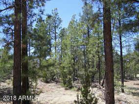 2846 Thunderbird Way #-, Overgaard, AZ 85933 photo 6