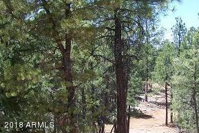 2846 Thunderbird Way #-, Overgaard, AZ 85933 photo 7