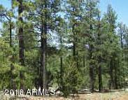 2846 Thunderbird Way #-, Overgaard, AZ 85933 photo 4