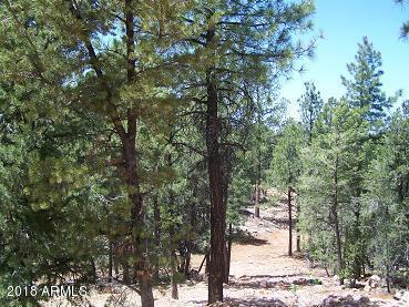 2846 Thunderbird Way #-, Overgaard, AZ 85933 photo 2
