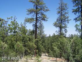 2846 Thunderbird Way #-, Overgaard, AZ 85933 photo 9