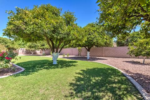 4135 E Fox St, Mesa, AZ 85205 photo 71