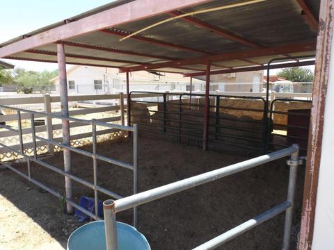3102 E Wethersfield Rd, Phoenix, AZ 85032 photo 19