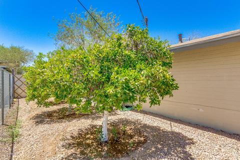 116 S Hibbert --, Mesa, AZ 85210 photo 16
