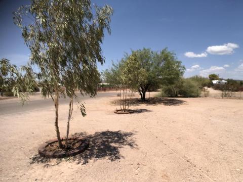 979 N Monterey Dr, Apache Junction, AZ 85120 photo 17