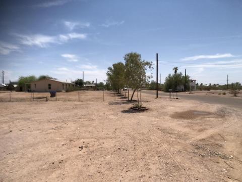 979 N Monterey Dr, Apache Junction, AZ 85120 photo 18