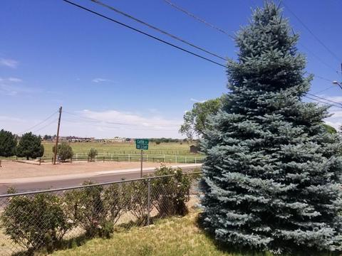 126 E Cattle Ln, Taylor, AZ 85939 photo 44