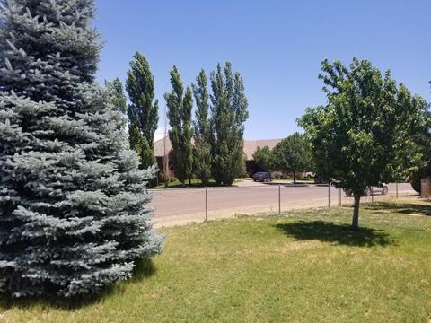 126 E Cattle Ln, Taylor, AZ 85939 photo 45