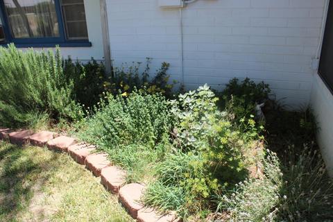 126 E Cattle Ln, Taylor, AZ 85939 photo 47