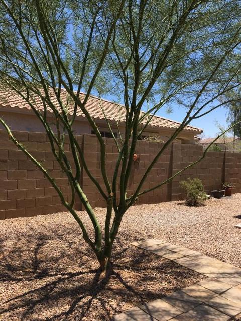 3028 E Franklin Ave, Gilbert, AZ 85295 photo 31