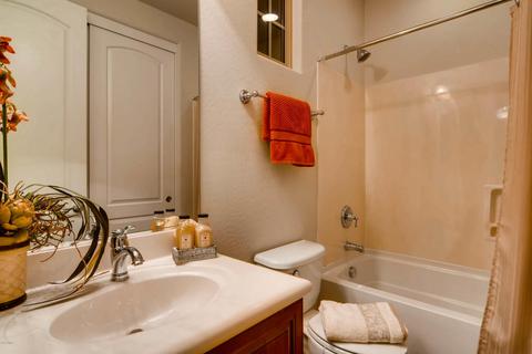 3933 E Half Hitch Pl, Phoenix, AZ 85050 photo 48
