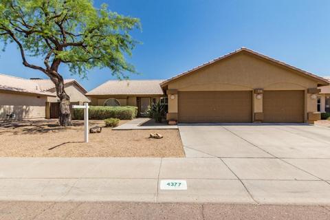 4377 E Muriel Dr, Phoenix, AZ 85032 photo 1