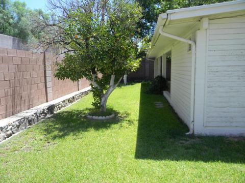 2624 E Pierson St, Phoenix, AZ 85016 photo 9