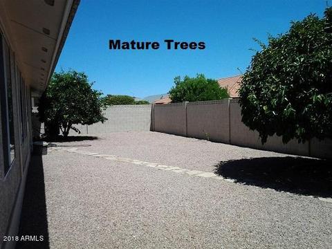 8215 E Navarro Ave, Mesa, AZ 85209 photo 43