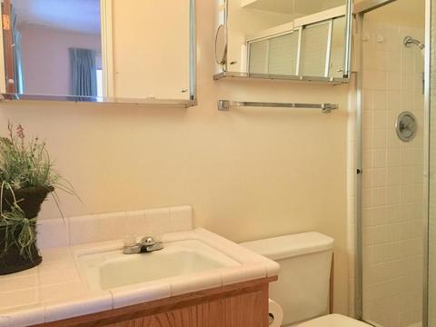 5819 E Decatur St, Mesa, AZ 85205 photo 21