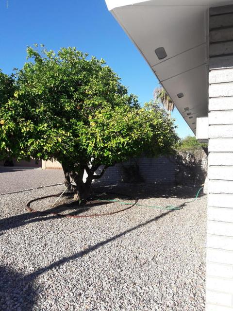 5044 E Florian Ave, Mesa, AZ 85206 photo 4