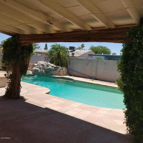 2915 E Windrose Dr, Phoenix, AZ 85032 photo 34