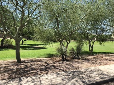 3256 E Jacinto Ave, Mesa, AZ 85204 photo 39