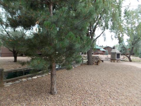 2343 Buffalo N Loop, Overgaard, AZ 85933 photo 19