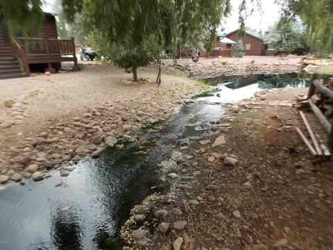 2343 Buffalo N Loop, Overgaard, AZ 85933 photo 20