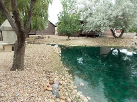 2343 Buffalo N Loop, Overgaard, AZ 85933 photo 24