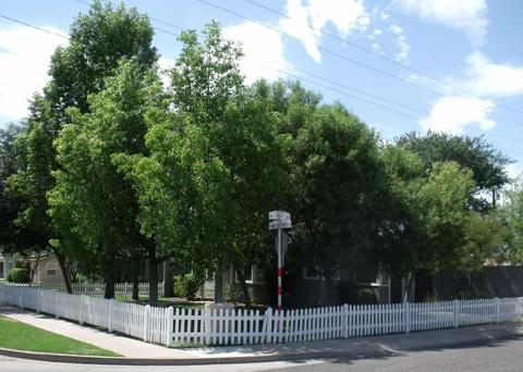 1456 E Mulberry St, Phoenix, AZ 85014 photo 3