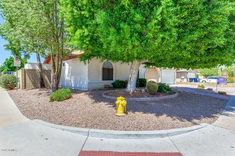 4146 E Downing St, Mesa, AZ 85205 photo 3