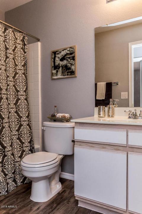 923 W 19th Ave, Apache Junction, AZ 85120 photo 26