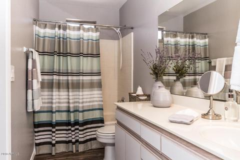 923 W 19th Ave, Apache Junction, AZ 85120 photo 20
