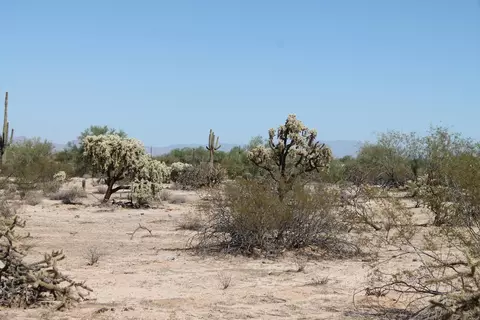 000 E Cactus Forest Road Rd #-, Florence, AZ 85132 photo 5