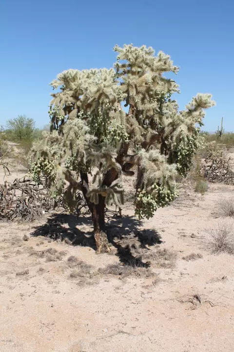 000 E Cactus Forest Road Rd #-, Florence, AZ 85132 photo 3