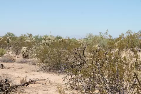 000 E Cactus Forest Road Rd #-, Florence, AZ 85132 photo 4