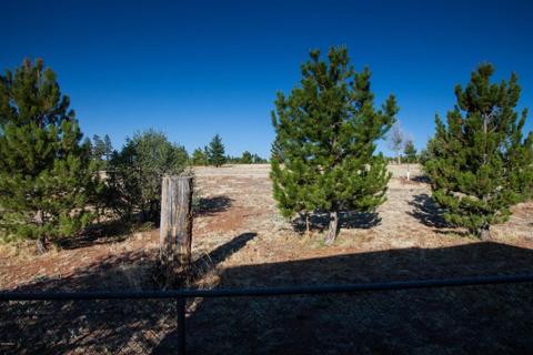 2705 Whiskey Rd, Overgaard, AZ 85933 photo 18