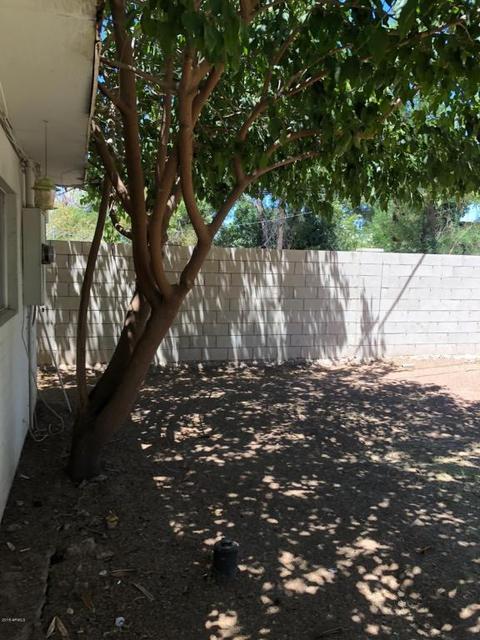 1340 E Hall St, Tempe, AZ 85281 photo 34