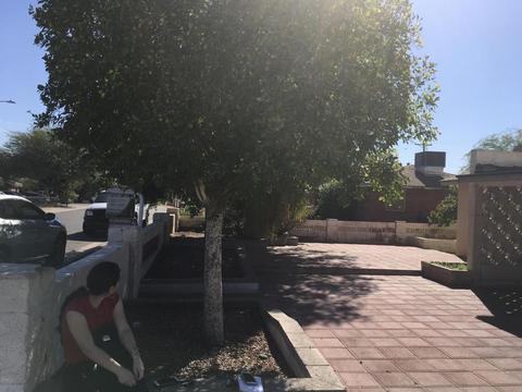 1723 E Lynne Ln, Phoenix, AZ 85042 photo 6