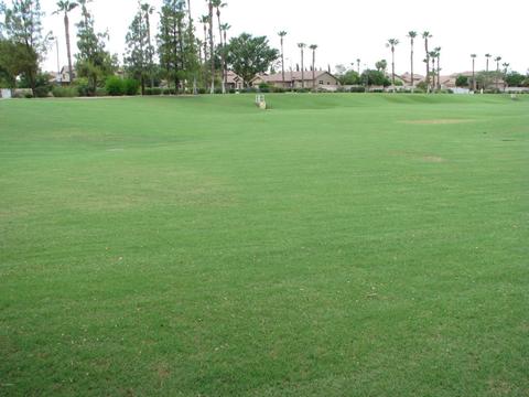 348 W Ivanhoe St, Gilbert, AZ 85233 photo 50