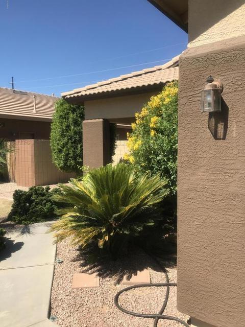 3676 E Derringer Way, Gilbert, AZ 85297 photo 51