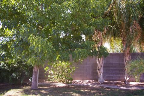 3676 E Derringer Way, Gilbert, AZ 85297 photo 17