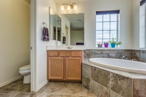 809 E Constance Way, Phoenix, AZ 85042 photo 29