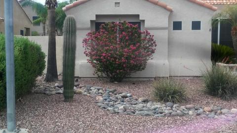 9651 E Idaho Ave, Mesa, AZ 85209 photo 5