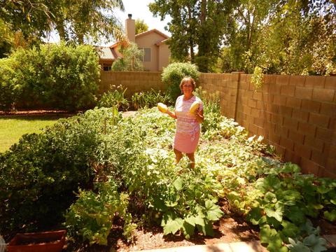 1109 E Hearne Way, Gilbert, AZ 85234 photo 15