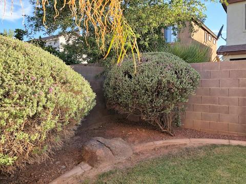 3870 S Dew Drop Ln, Gilbert, AZ 85297 photo 45