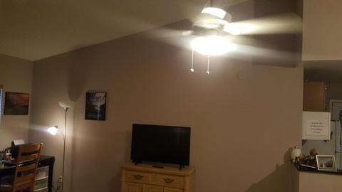 4236 E Carson Rd, Phoenix, AZ 85042 photo 4