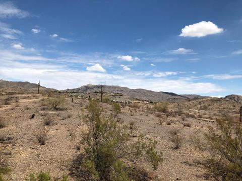 734 E Glenhaven Dr, Phoenix, AZ 85048 photo 34