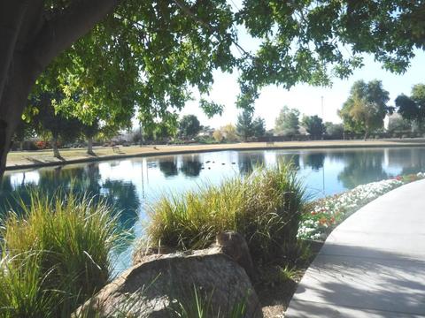 4480 E Maplewood St, Gilbert, AZ 85297 photo 49